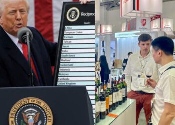 Ngành Rượu Vang Toàn Cầu Bị Ảnh Hưởng Ra Sao Bởi Chính Sách Thuế Của Donald Trump?