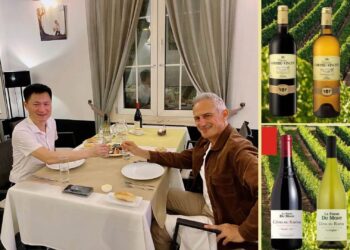 Vang Bordeaux KHÁC HOÀN TOÀN Côtes du Rhône! dù cùng là vang Pháp